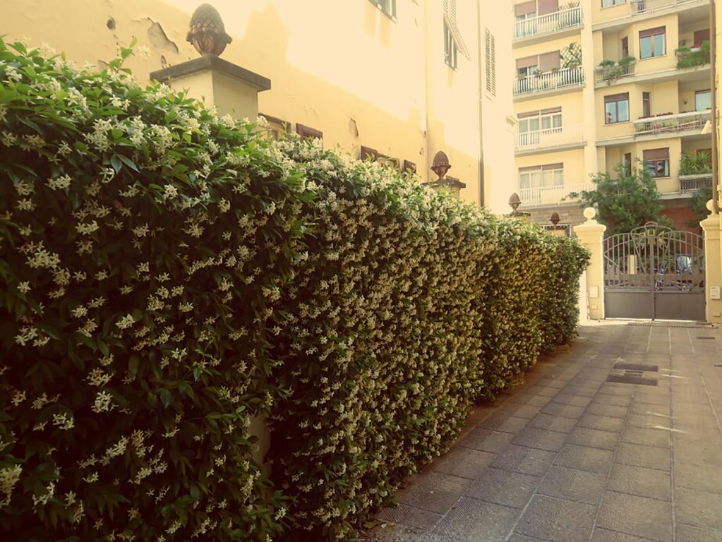 Hotel Della Robbia Флоренція Екстер'єр фото